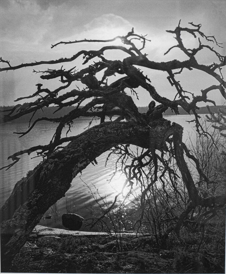 Joulumyyntinäyttely