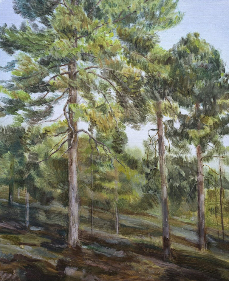 Kolme näkökulmaa luontoon