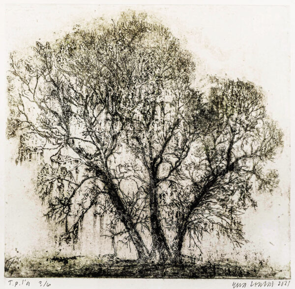 213_Eeva_Louhio_Varhainen_kevät