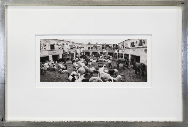 28_Pentti_Sammallahti_Marrakech 28_Pentti_Sammallahti_Marrakech