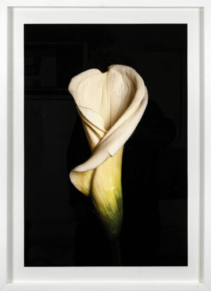 Endre monde et paradis