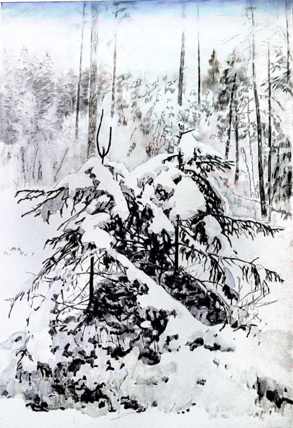 400_Arto_Määttä 400_Arto_Määttä