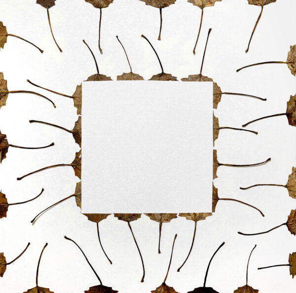 442_Marja_Hakala_Lily_of_Valley 442_Marja_Hakala_Lily_of_Valley