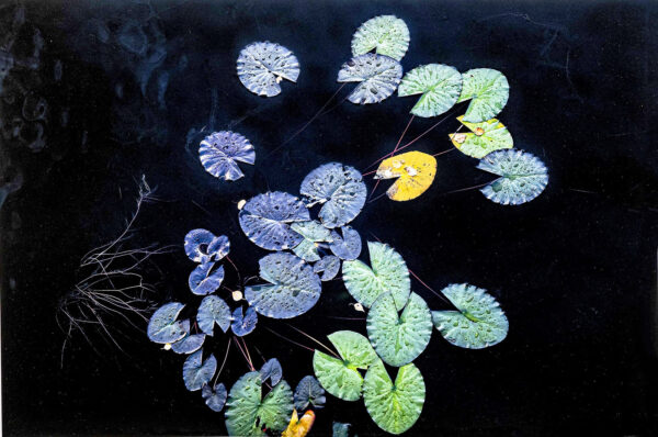 68_Kari_Holopainen_Outoja lumpeita