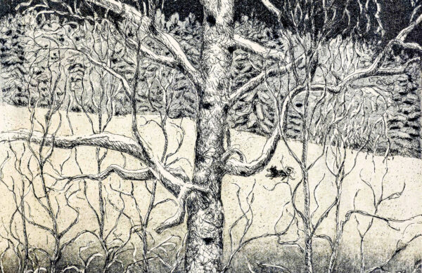 Inari_Krohn_Koivu_yksityiskohta Inari_Krohn_Koivu_yksityiskohta