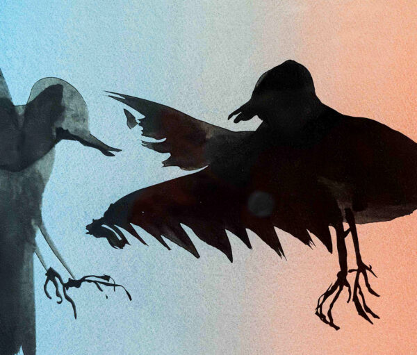 3_Petri_Hytönen_Reviirikiista-detalji 3_Petri_Hytönen_Reviirikiista-detalji