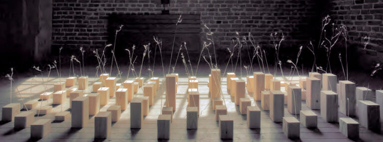 Talventörröttäjät