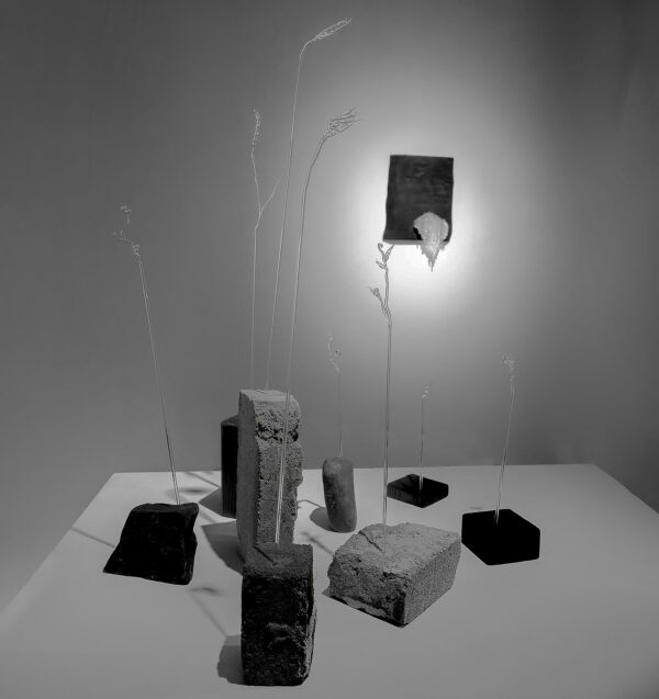 Nuutinen_Talventörröttäjät_ryhmä_net Nuutinen_Talventörröttäjät_ryhmä_net