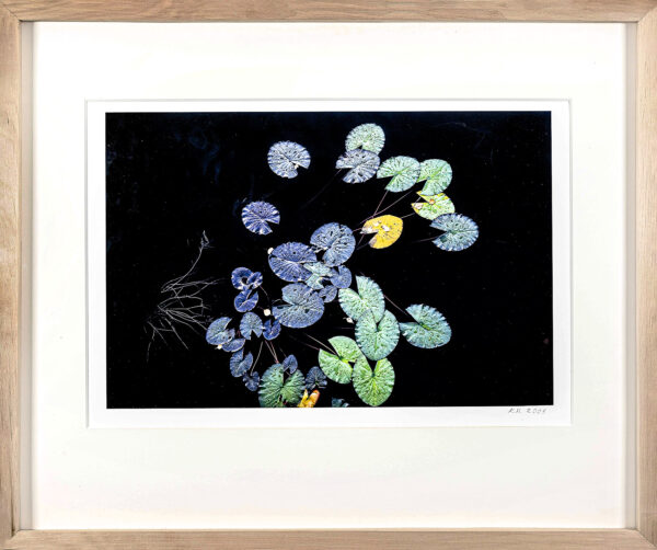 068_Kari_Holopainen_Outoja_lumpeita3 068_Kari_Holopainen_Outoja_lumpeita3