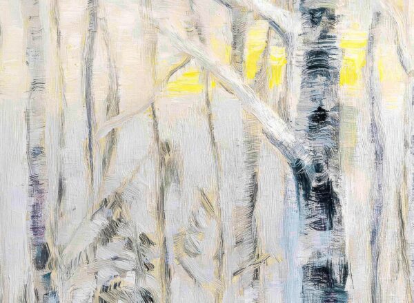 121_Ipi_Kärki_Ensilumi2 121_Ipi_Kärki_Ensilumi2