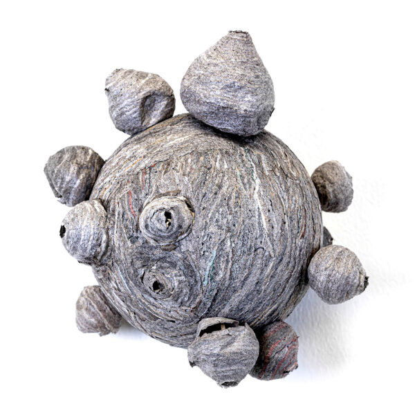 162_Timo_Heino_Ampiaisenpesä