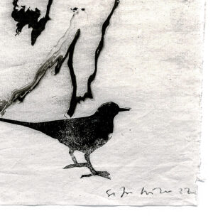 17_Sofia_Wilkman_Ystava2