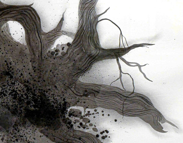 201_Saara_Salmi_Mänty2 201_Saara_Salmi_Mänty2