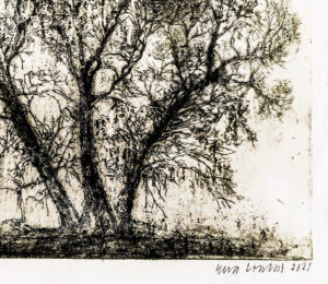 213_Eeva_Louhio_Varhainen_kevat2