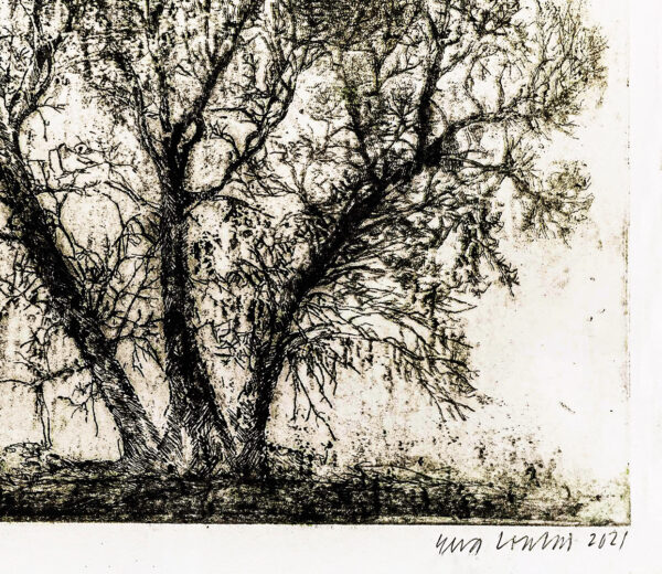 213_Eeva_Louhio_Varhainen_kevat2 213_Eeva_Louhio_Varhainen_kevat2