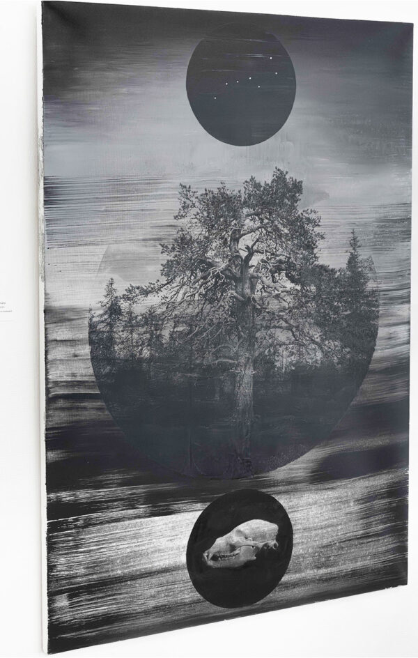 225_Arto-Määttä_Riittic 225_Arto-Määttä_Riittic