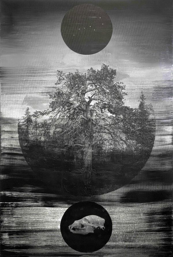 225_Arto_Määttä_Riitti