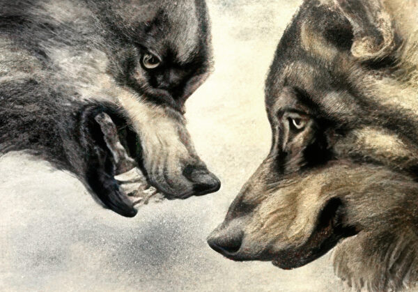 285_Pälikkö_perheneuvottelu_detali 285_Pälikkö_perheneuvottelu_detali