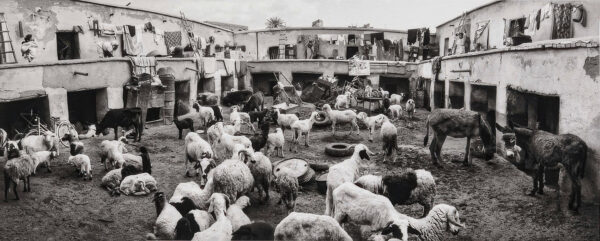 28_Pentti_Sammallahti_Marrakech2 28_Pentti_Sammallahti_Marrakech2