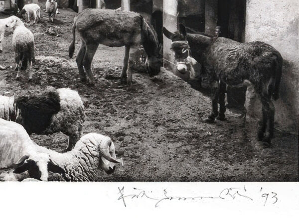 28_Pentti_Sammallahti_Marrakech3 28_Pentti_Sammallahti_Marrakech3