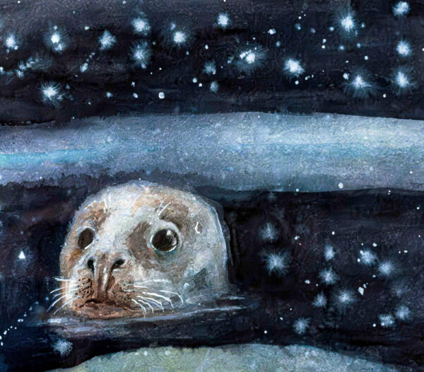 334_Minna-Pyykkö_Halli_tähtäimessä2 334_Minna-Pyykkö_Halli_tähtäimessä2