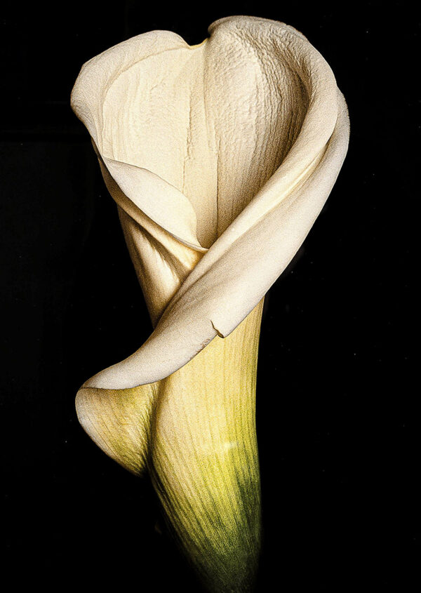 337_Hannele_Rantala_Endre_monde_et-paradis2 337_Hannele_Rantala_Endre_monde_et-paradis2