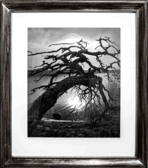 Korhoskylän uhrimänty