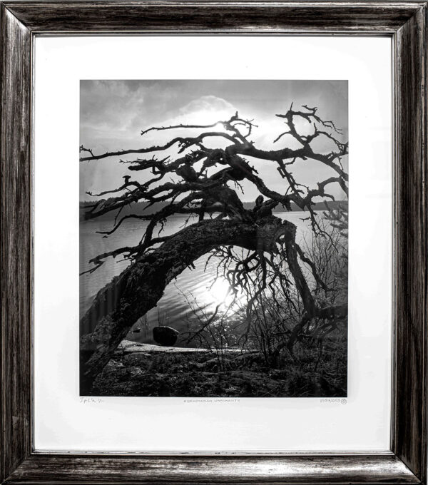 383_Kovalainen_Seppo_Korhoskylän uhrimänty