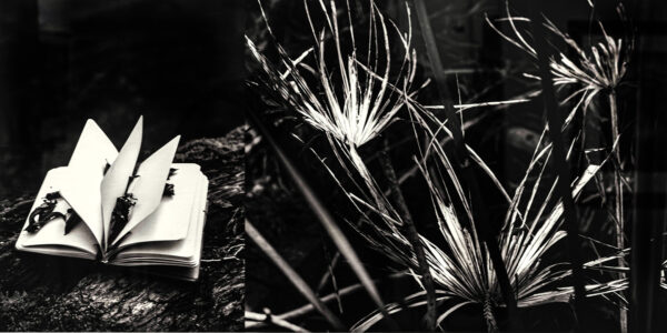 384_Ritva_Kovalainen_Elää luonnon mukaan2 384_Ritva_Kovalainen_Elää luonnon mukaan2