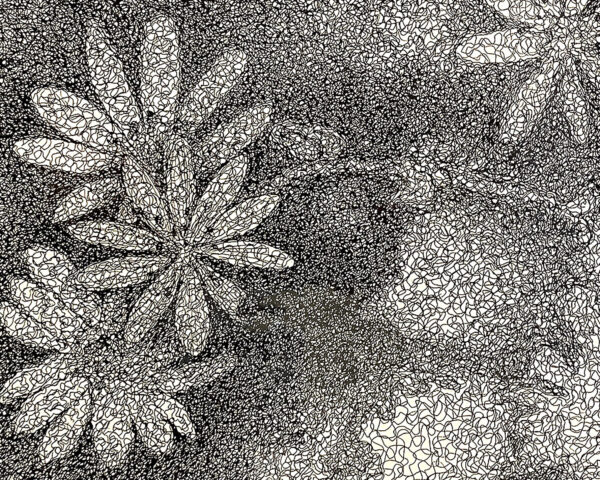 425_Hannu_Hokkanen_Tähtimö_2 425_Hannu_Hokkanen_Tähtimö_2