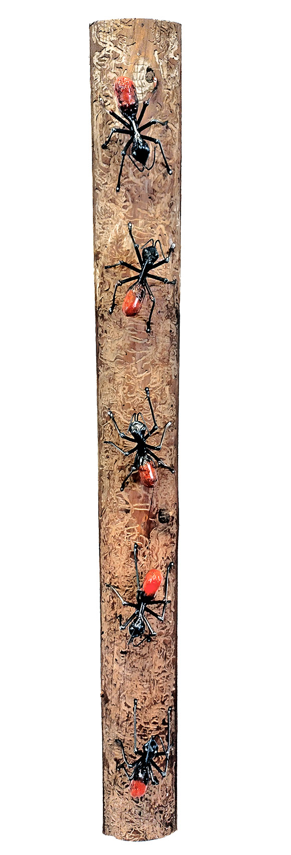 447_Rauni-Vastinesluoma_Muurahaispolku2 447_Rauni-Vastinesluoma_Muurahaispolku2