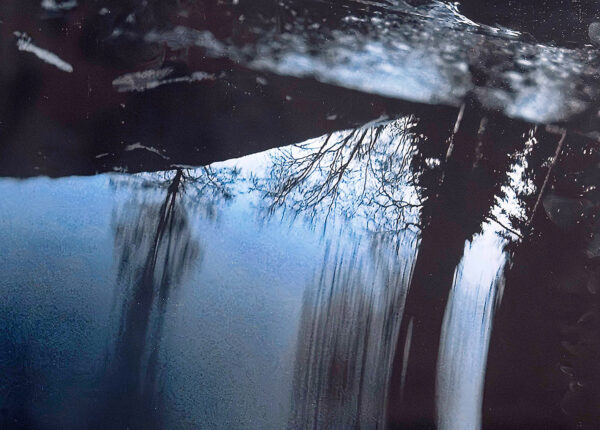 458_Juha_Juutinen_Heijastuksia_patolammen_pinnasta2 458_Juha_Juutinen_Heijastuksia_patolammen_pinnasta2