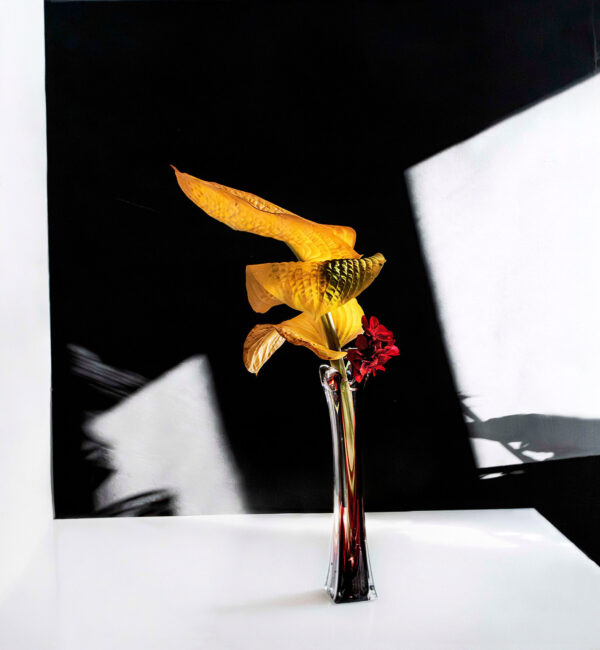 466_Annamari-Eskola_Kuunliljat 466_Annamari-Eskola_Kuunliljat