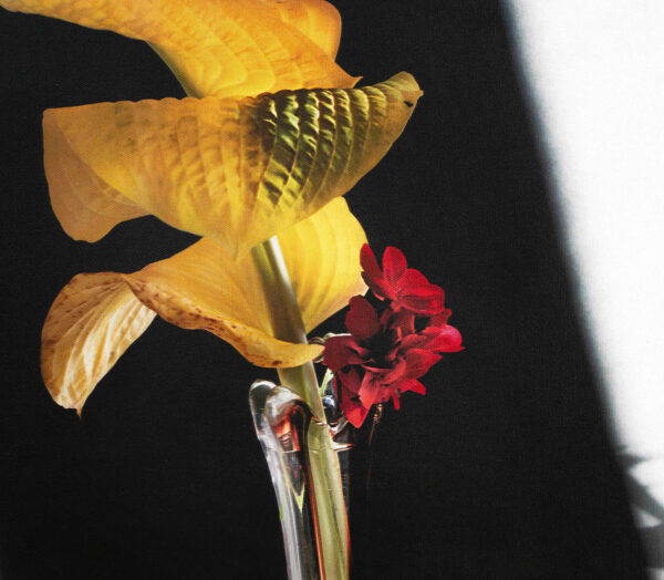 466_Annamari_Eskola_Kuunliljat_2 466_Annamari_Eskola_Kuunliljat_2