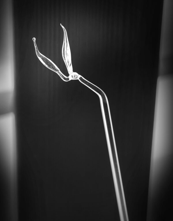 472_Katriina_Nuutinen_Lehdet 472_Katriina_Nuutinen_Lehdet