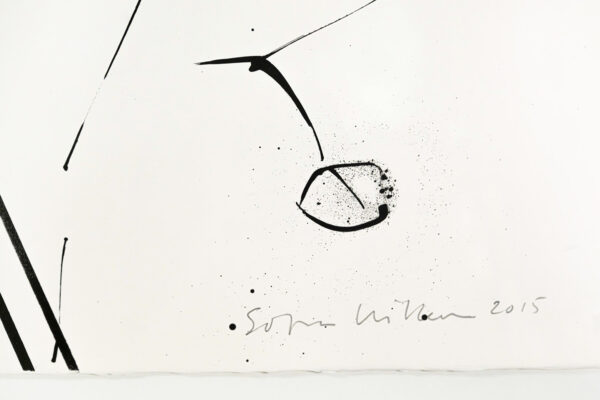 58_Sofia_Wilkman_Puisto 3 b 58_Sofia_Wilkman_Puisto 3 b