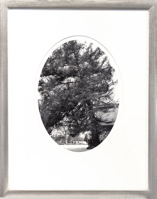 34_Kati_Lehtonen_Euroopanlehtikuusi