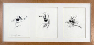 Kolme ruusun kiulukkaa