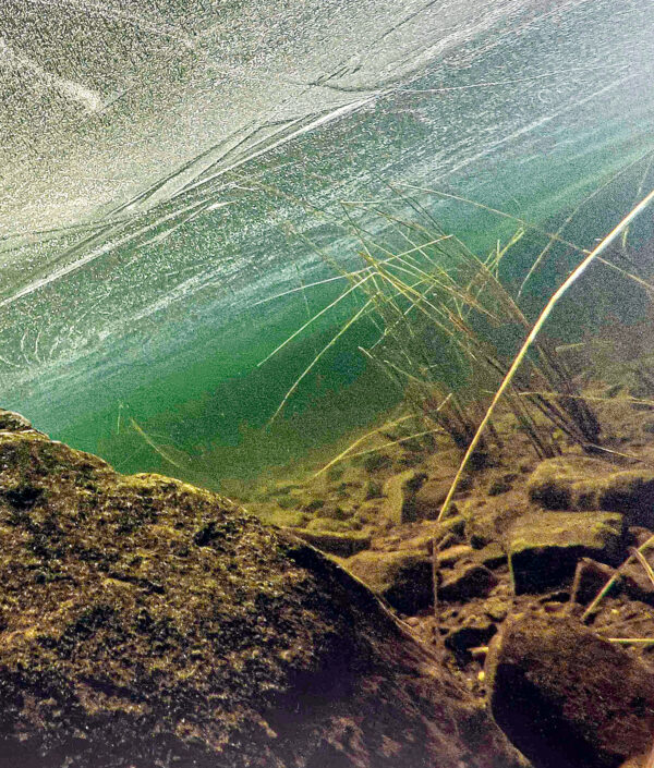 459_Juha_Juutinen_Näkymä pinnan alta2 459_Juha_Juutinen_Näkymä pinnan alta2