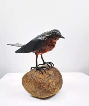 Järripeippo kivellä