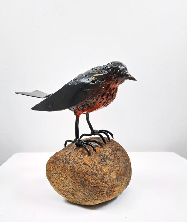 480_Rauni-vastinesluoma_Järripeippo kivellä