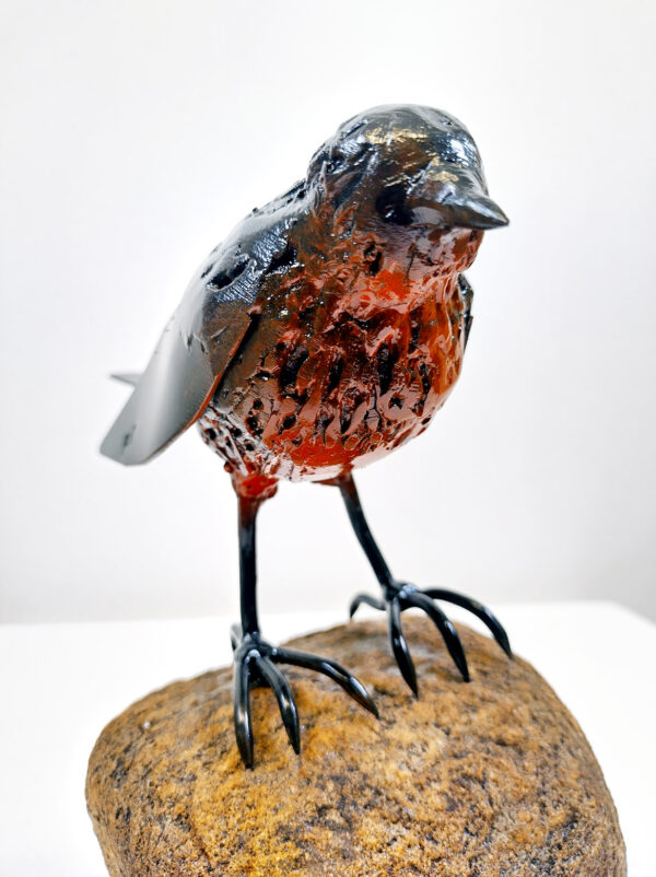 480_Rauni_Vastinesluoma_Järripeippo kivellä3 480_Rauni_Vastinesluoma_Järripeippo kivellä3