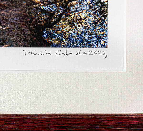 481_Taneli_Eskola_Aarnihongat konkelossa. vers.2 (3) 481_Taneli_Eskola_Aarnihongat konkelossa. vers.2 (3)