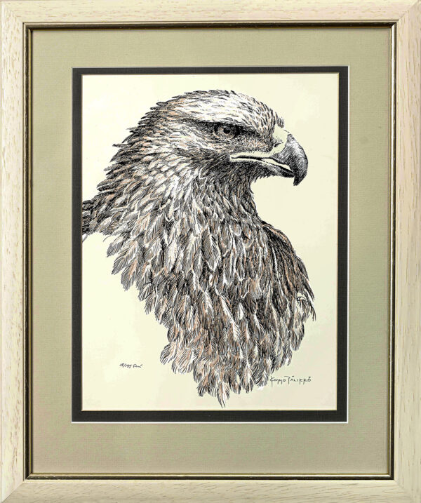 482_Kimmo_Pälikkö_Kotka