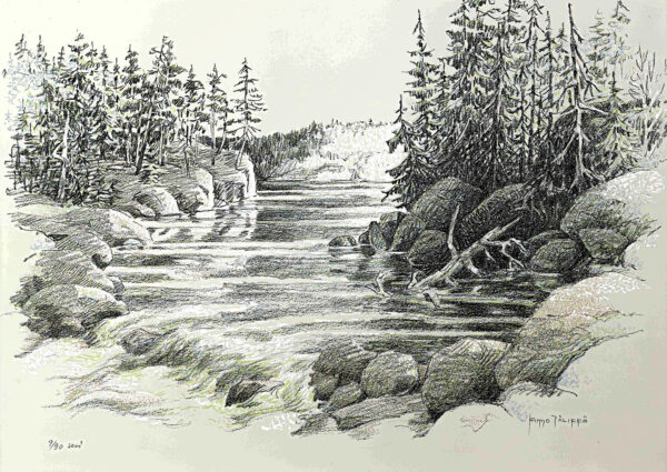 490_Kimmo_Pälikkö_Metsälampi2 490_Kimmo_Pälikkö_Metsälampi2