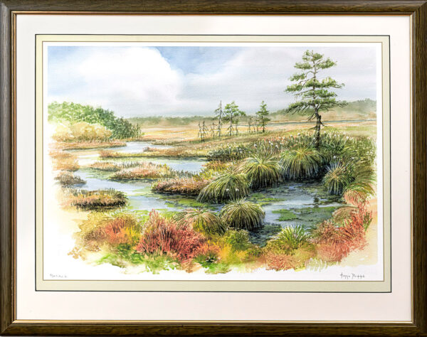 493_Kimmo_Pälikkö_Suota