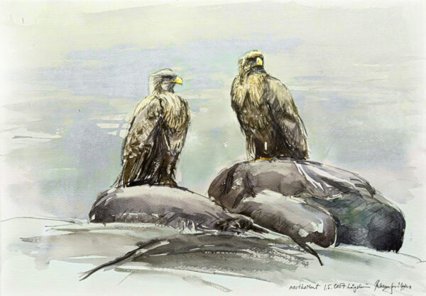 4_Pekka-Saikko_Merikotkat2 4_Pekka-Saikko_Merikotkat2