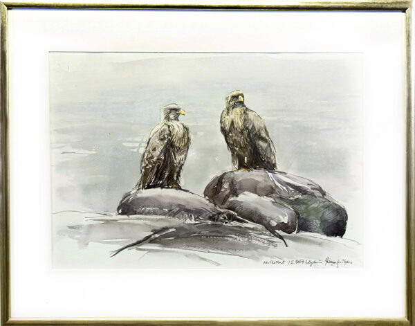 4_Pekka_Saikko_Merikotkat