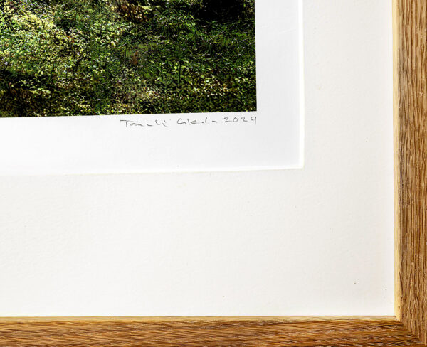 500_Taneli_Eskola_Aarnimetsä - Alkumetsä3 500_Taneli_Eskola_Aarnimetsä - Alkumetsä3