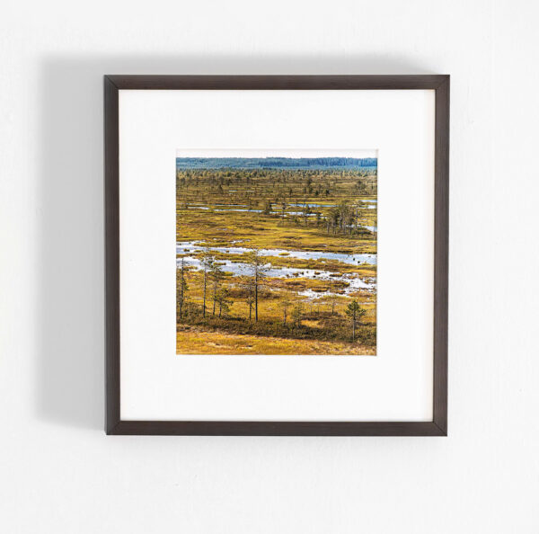 542_Tapio_Heikkilä_Ilomantsi, Kesonsuo 542_Tapio_Heikkilä_Ilomantsi, Kesonsuo